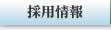 採用情報